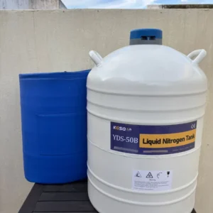 Termo de nitrogeno 50L YDS